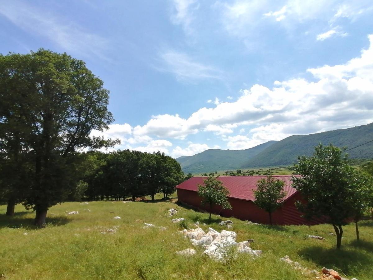 Farma & Apartmani II Opg Sasa Delic Grabusic Exterior foto